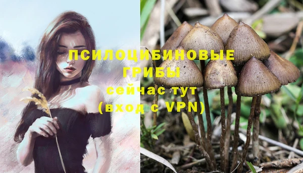 герыч Абаза