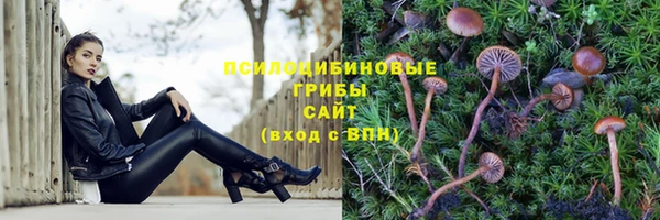 герыч Абаза