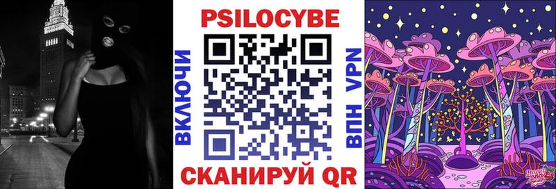 Псилоцибиновые грибы Psilocybe  Владикавказ 