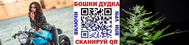 Каннабис White Widow  Владикавказ 